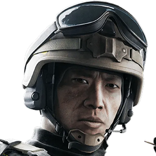 Lesion
